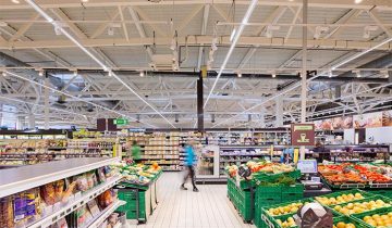 Columna vertebral de Maxos Fusion