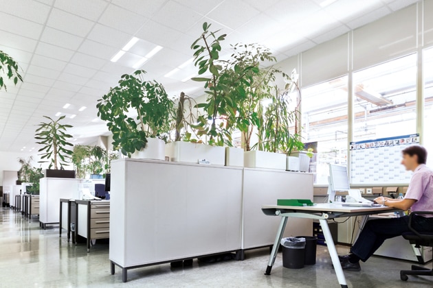 Oficinas en planta abierta en Bosch (Alemania) iluminadas por Philips Lighting