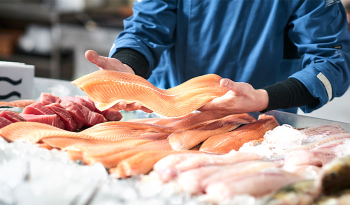 La mejor iluminación para el pescado fresco