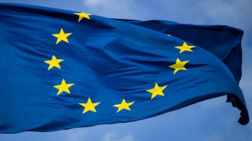 Un árbol al lado de un edificio de cristal