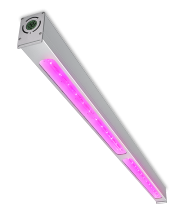 Iluminación LED superior Philips GreenPower