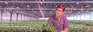 Respetuoso con el medio ambiente y con las orquídeas
